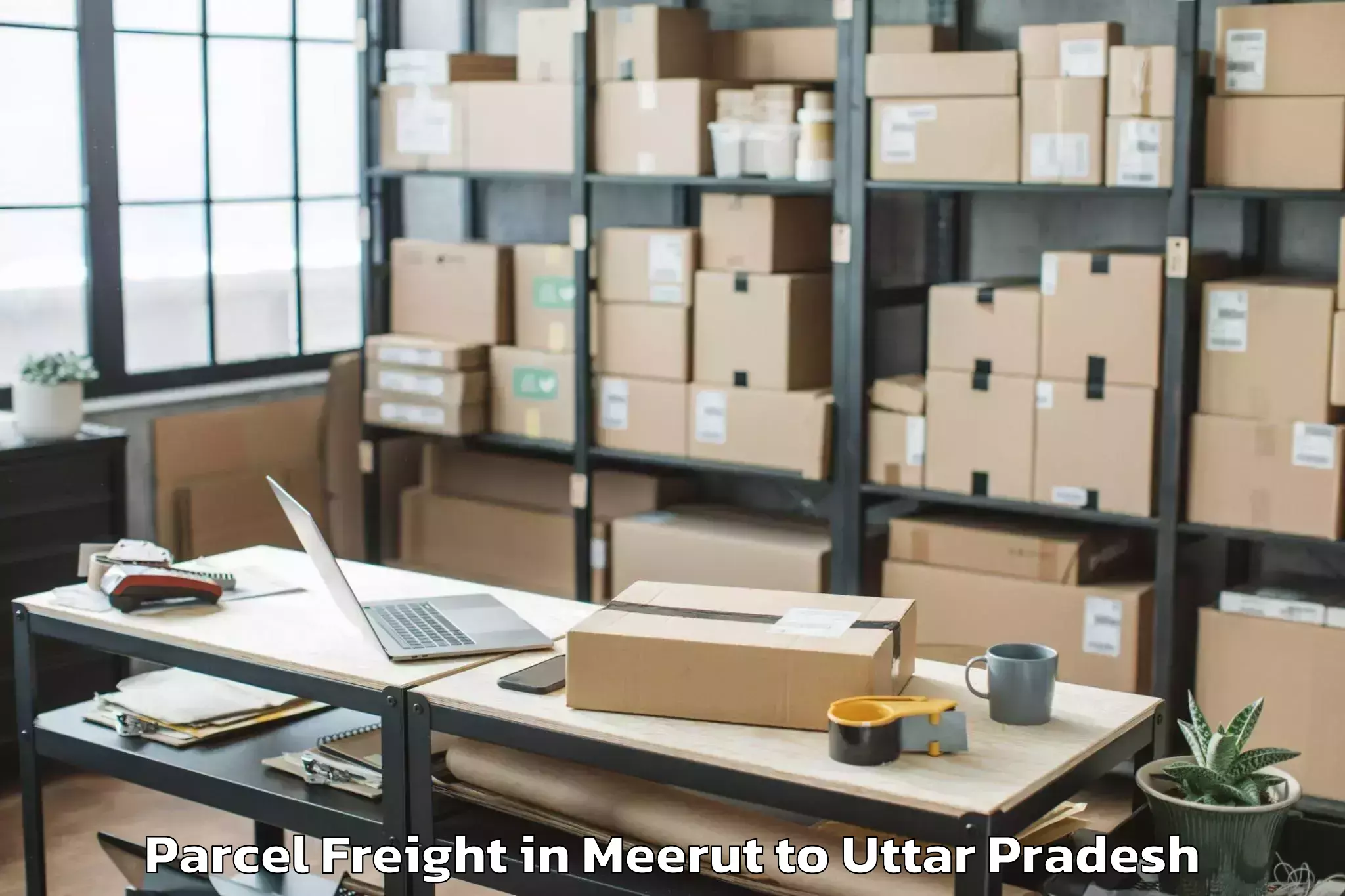 Trusted Meerut to Lalganj Ajhara Parcel Freight